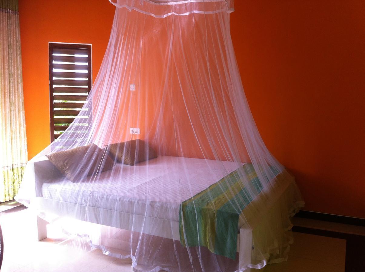 Bee Nest Bed & Breakfast Негомбо Екстер'єр фото
