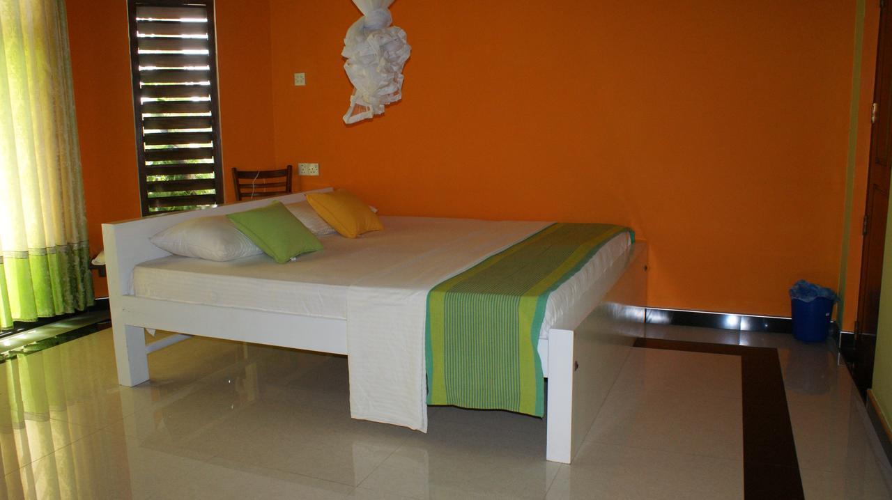 Bee Nest Bed & Breakfast Негомбо Екстер'єр фото